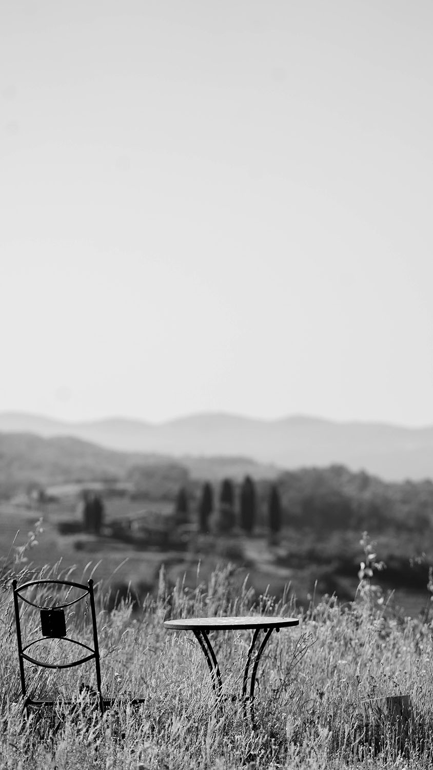 Domaine Corada in vinogradi Goriških Brd