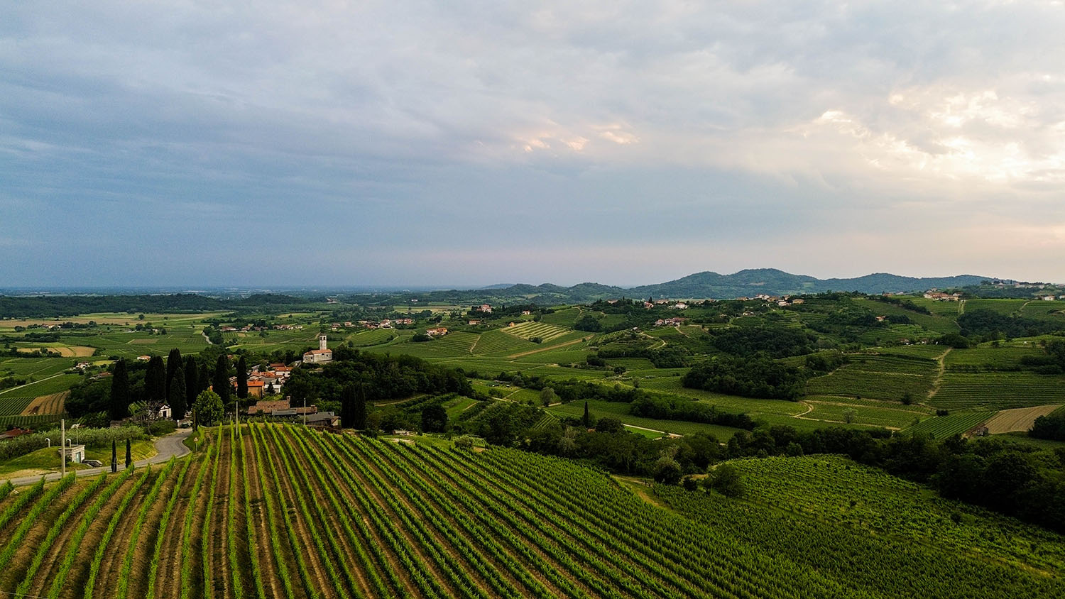Corada Domaine vino in briški vinogradi